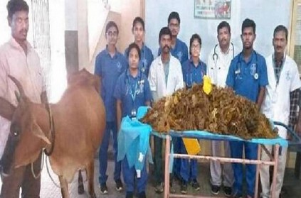 TN Veterinary surgeons remove 52Kg of plastic from Cow in Chennai