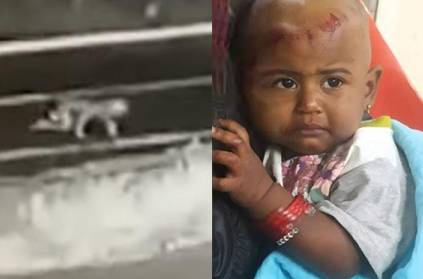 Toddler Falls From Speeding Jeep in Kerala With \'Unaware\' Parents