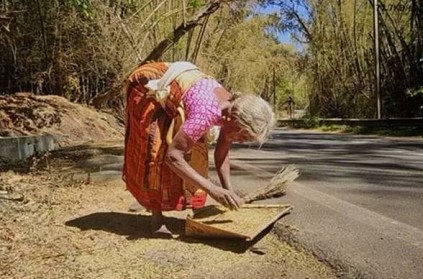 Tribe people collect Bamboo rice in Nilgiris