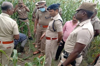 Trichy old woman found dead at forest