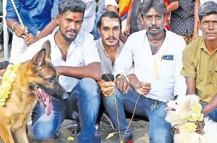 Valentine’s Day: Hindutava group marries dog to dog in Coimbatore