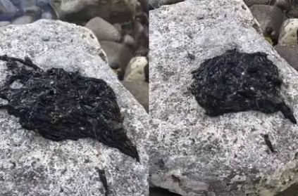 Video Of Bizarre Black Creature Has Millions Confused in Twitter