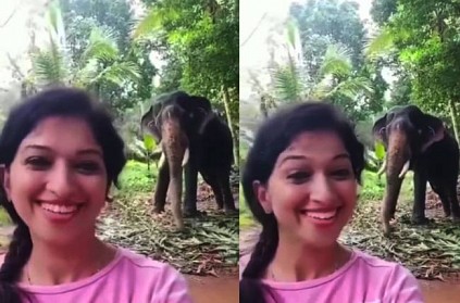 Viral elephant reaction while young girl reels video