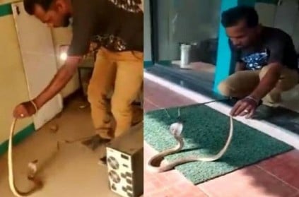 WATCH: Snake found inside an ATM near Thaneerpandal Road in Coimbatore