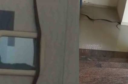 Watch Video: 7 feet long size snake entered in ladies hostel