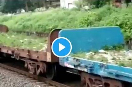 Watch Video: Cow Traveled on Goods Train,Video Goes Viral