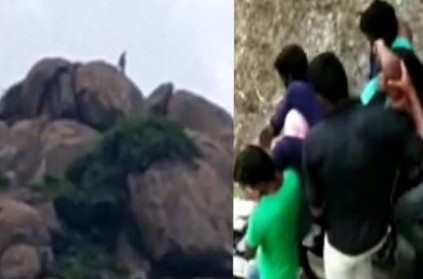 WATCH: Young lovers suicide attempt in Thiruvannamalai