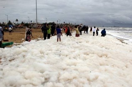 what is the reason for foam flood in Chennai beaches