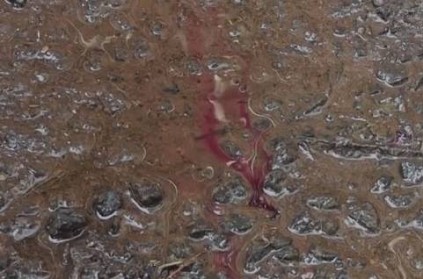 When the water is sprayed on the tar road, red fluid discharged