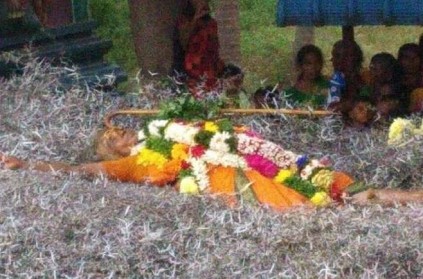 Woman lying down top of thorns at Muthumariamman temple in Sivagangai