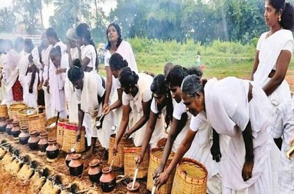 Women celebrate Pongal wearing white sarees in Sivagangai