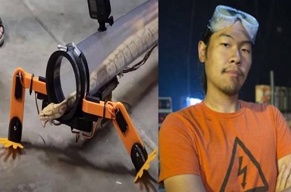 engineer decides to find legs for snakes create robotic legs