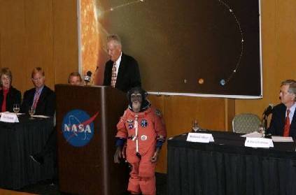 nasa plans to send chimpanzee to space for sun exploration
