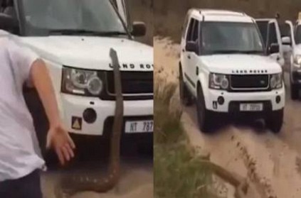 17 foot python chases tourists back into their car in SA
