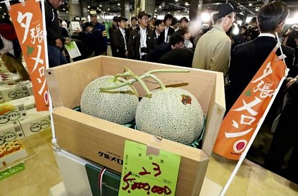 2 japan melon sold for high rate in the auction