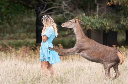 A deer attacked the woman posing for Instagram in Richmond Park