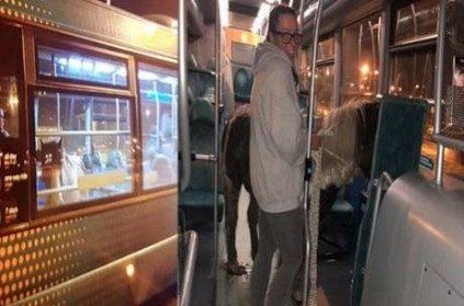 A photo of a horse riding a bus is going viral on the Internet