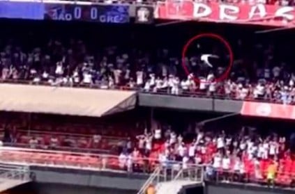 A soccer fan has survived fall from the top tier of a stadium