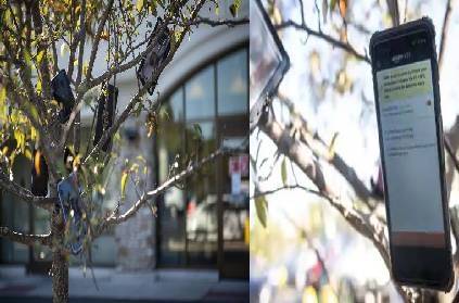 amazon drivers are hanging smartphones in trees to get extra work pay