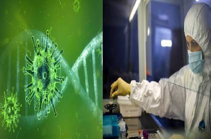 american scientists identify weak spots of covid19 virus