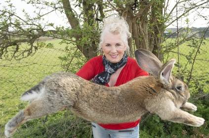 Announced prize money for finding a missing rabbit in the UK