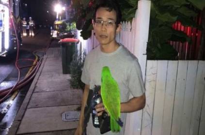 Australia man escaped fire with the help of a green parrot