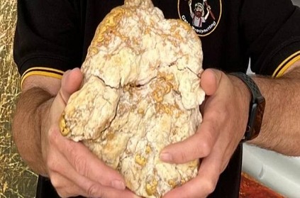 Australian Man Found 2 kilo gram Gold stuffed rock pic surface