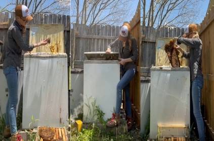 bees lived inside unused washing machine United States