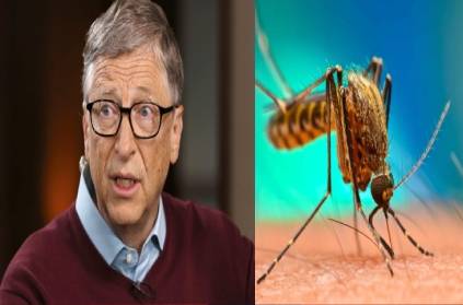 bill gates says not forget malaria mosquito during corona