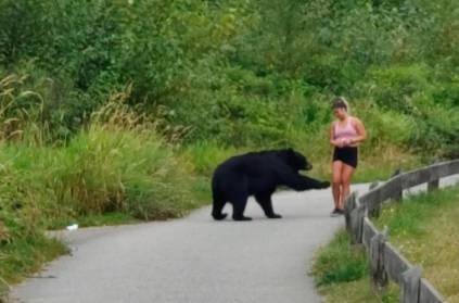 black bear taking swipe at runner in canada video viral