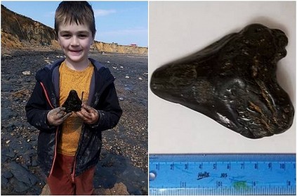 Boy searching for shells on beach discovers megalodon shark tooth