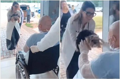 cancer patient reuniting with her pet dog viral video