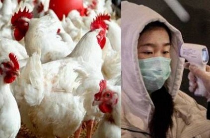 Chicken prices go high after rumours of coronavirus