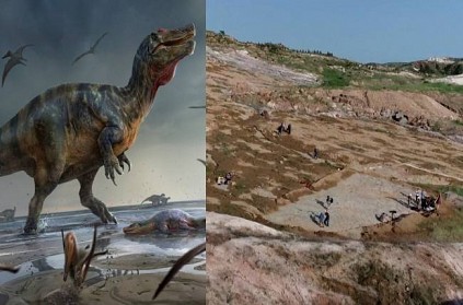 china 4300 footprints of dinosaur found by researchers