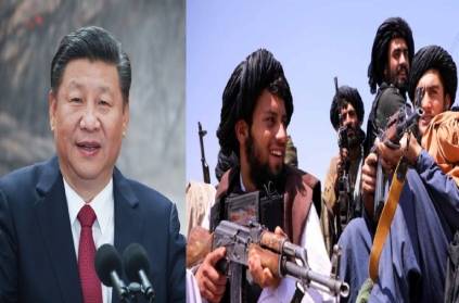 china announced 31 million dollar to Taliban government.