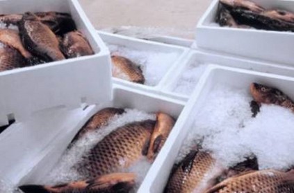 China Says Fish Imports From Indian Firm Suspends As Coronavirus Found