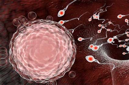 Chinese scientists say coronavirus is also found in sperm.