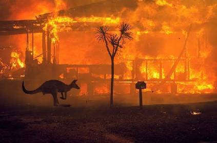 climate change behind australia intense bush fire