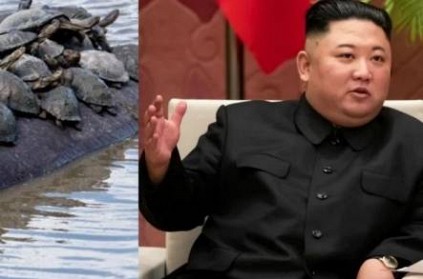 COVID-19 Impact : North Koreans advised to eat TERRAPIN
