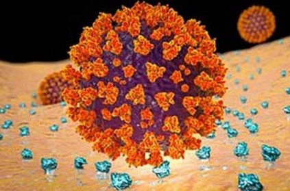 Decoy Proteins Defeating Corona Virus - New Strategy