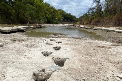 dinosaur tracks found in texas amid droughts