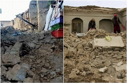Dog Looking For Family Members After Afghanistan Earthquake