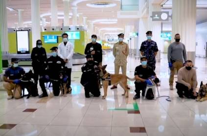 Dubai airport uses police dogs sniffeed out to find corona virus