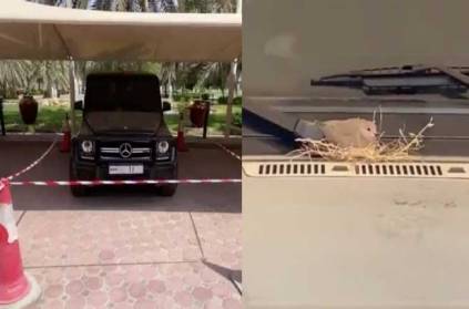 dubai prince sheikh hamdan expensive car to live bird nest