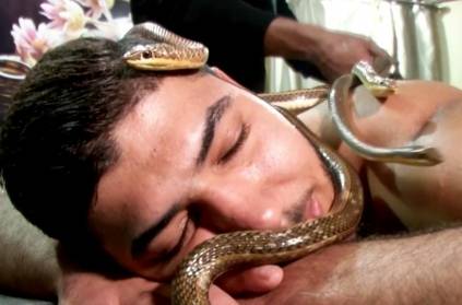 Egypt spa offers snake massages on your face, back
