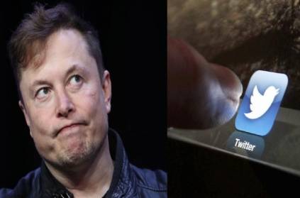 Elon Musk as Twitter NFT profile picture is incorrect