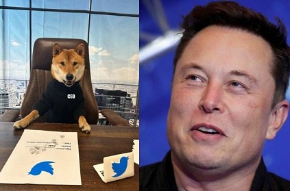 Elon Musk fun tweet about twitter ceo with his dog viral