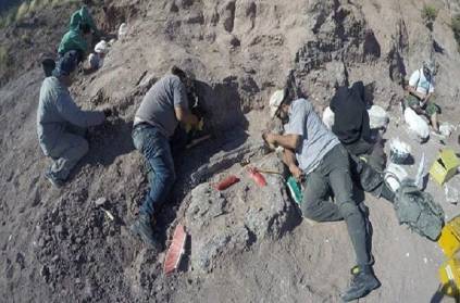 Fossils of oldest titanosaur discovered in Argentina