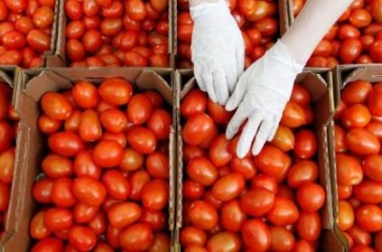French agency warns ToBRFV virus threatening tomatoes, peppers
