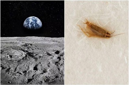 Give us our Moon dust and cockroaches back says NASA